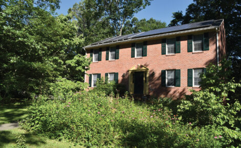 Plant Perennials That Attract Butterflies Image